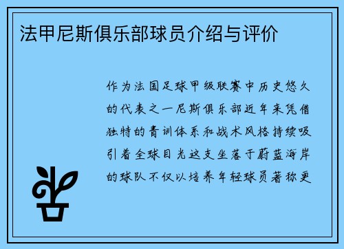 法甲尼斯俱乐部球员介绍与评价